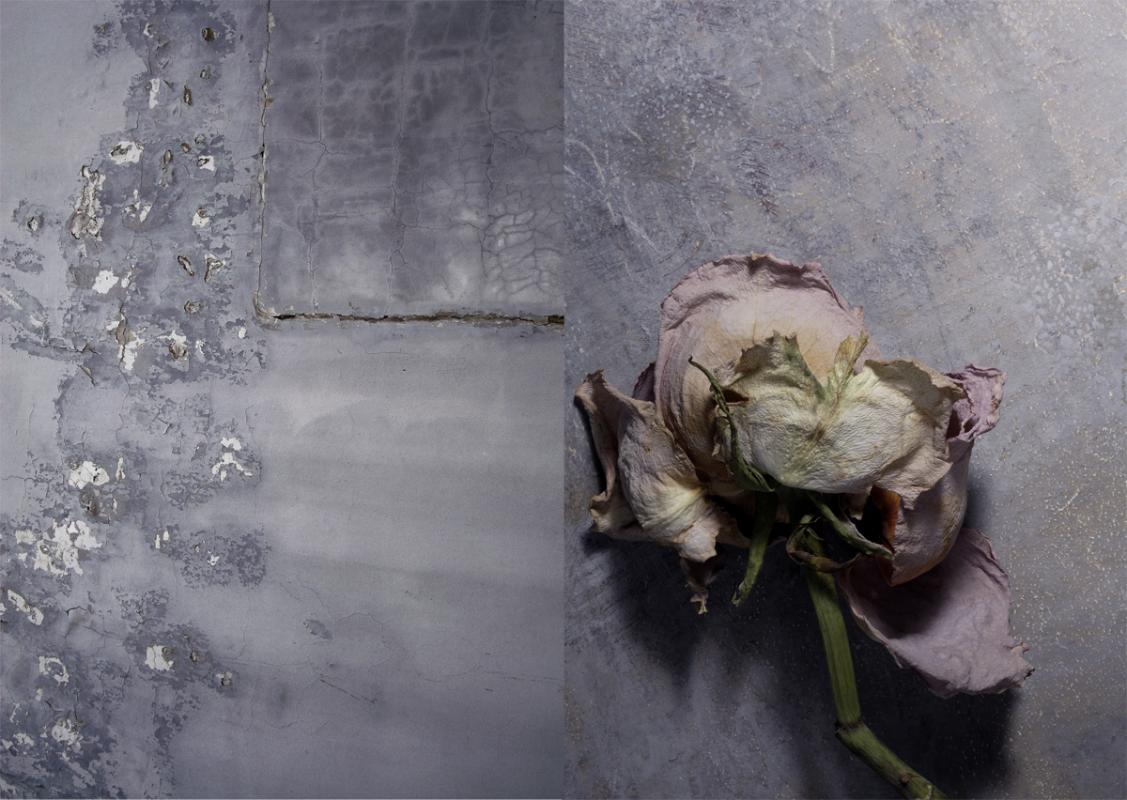 Bloom Petal Palette