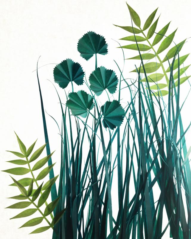 PaperGrass / Personal work