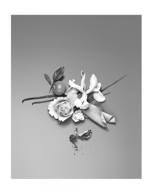 Valentino Donna ingredients,flowers 