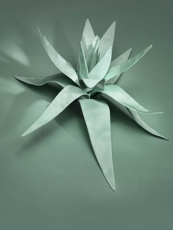 Satin Plants / Personal work