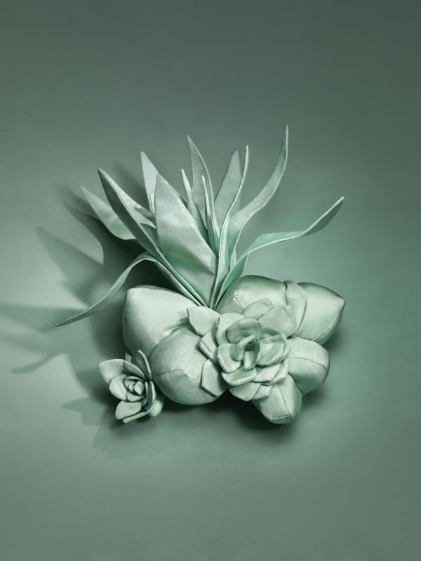 Satin Plants / Personal work